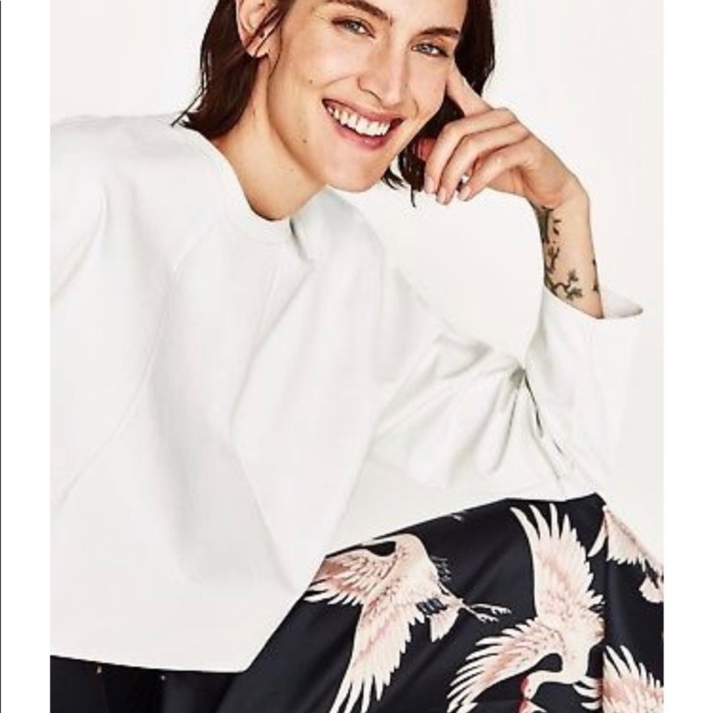 Zara Faux  Leather Crop Top